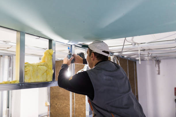 Best Blown-In Insulation  in Shadybrook, TX