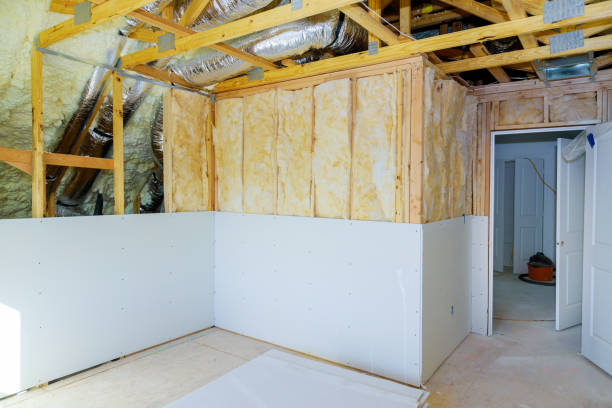 Best Spray Foam Insulation  in Shadybrook, TX