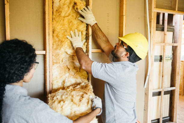 Best Reflective Insulation  in Shadybrook, TX