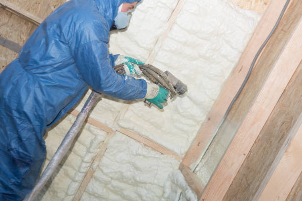 Best Reflective Insulation  in Shadybrook, TX