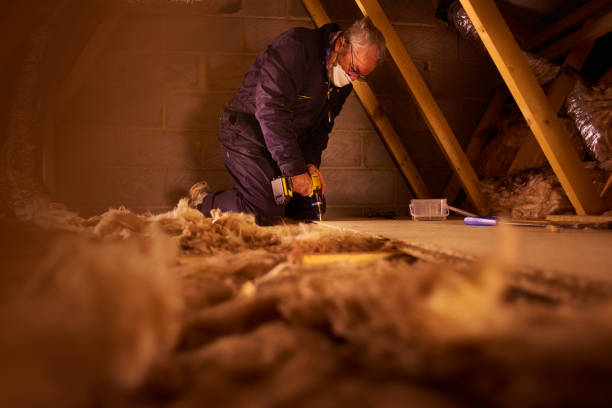 Best Commercial Insulation Services  in Shadybrook, TX