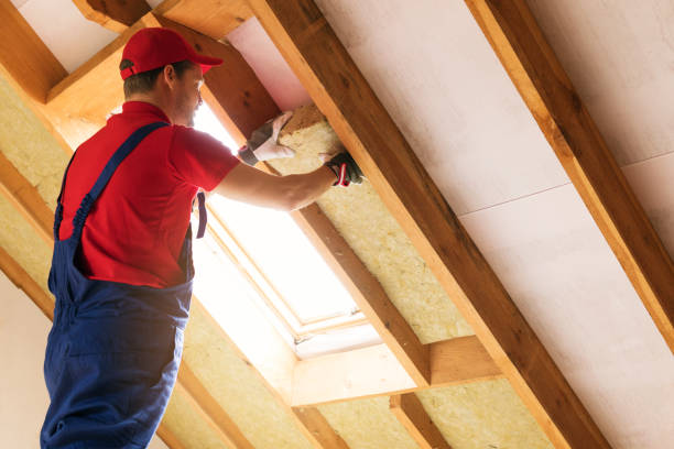 Best Basement Insulation  in Shadybrook, TX